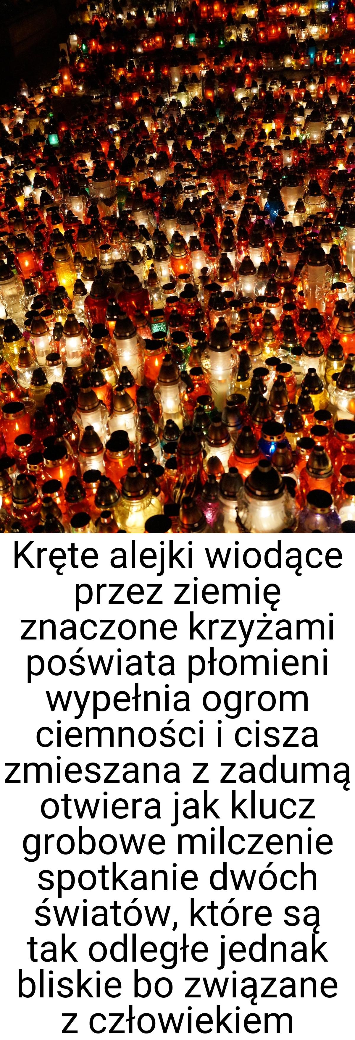 Kręte alejki wiodące przez ziemię znaczone krzyżami