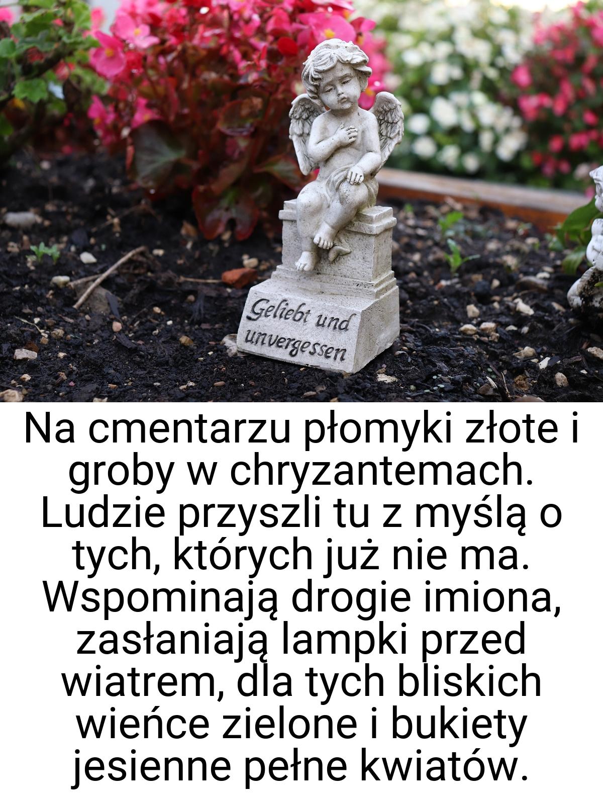 Na cmentarzu płomyki złote i groby w chryzantemach. Ludzie