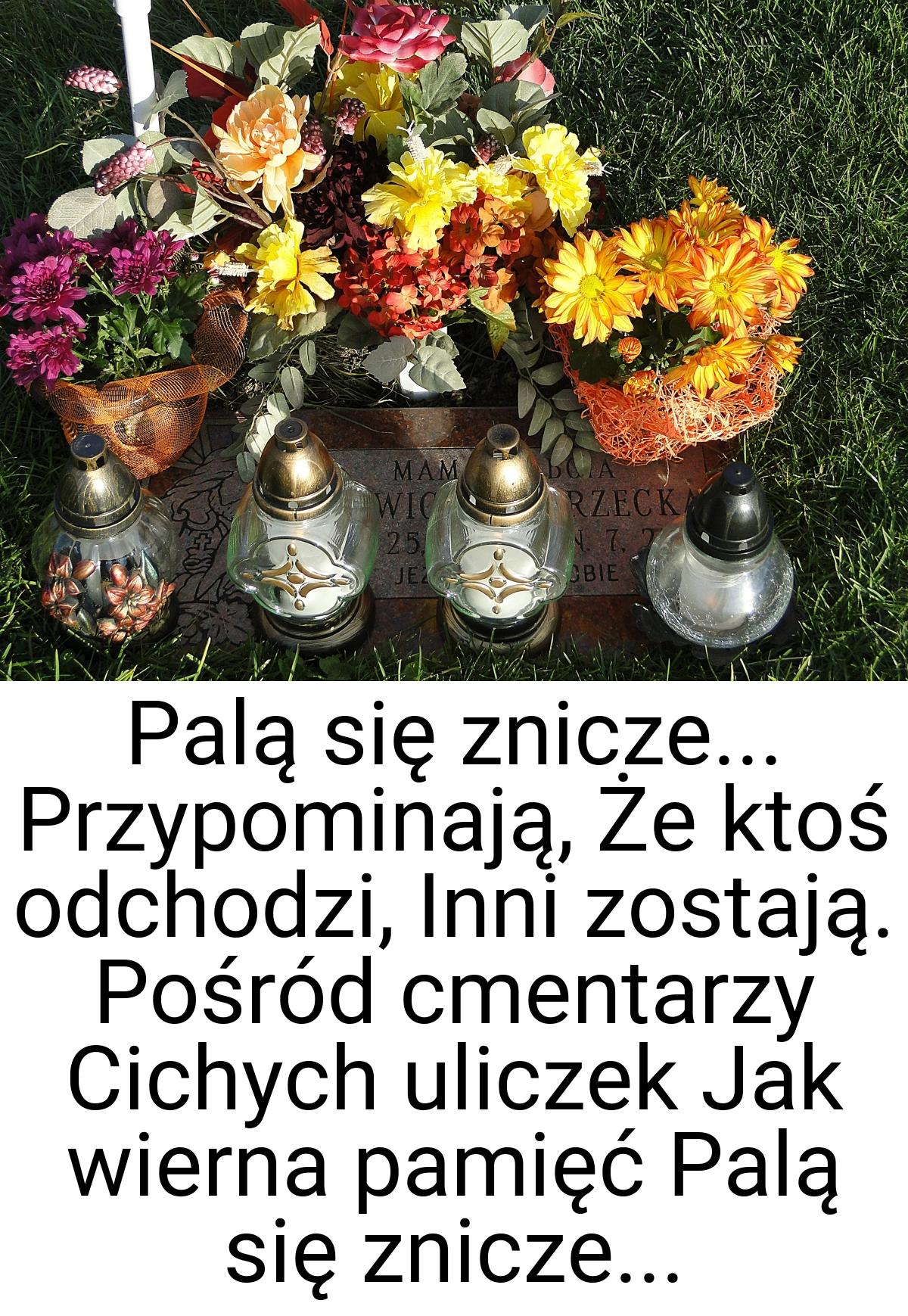 Palą się znicze... Przypominają, Że ktoś odchodzi, Inni