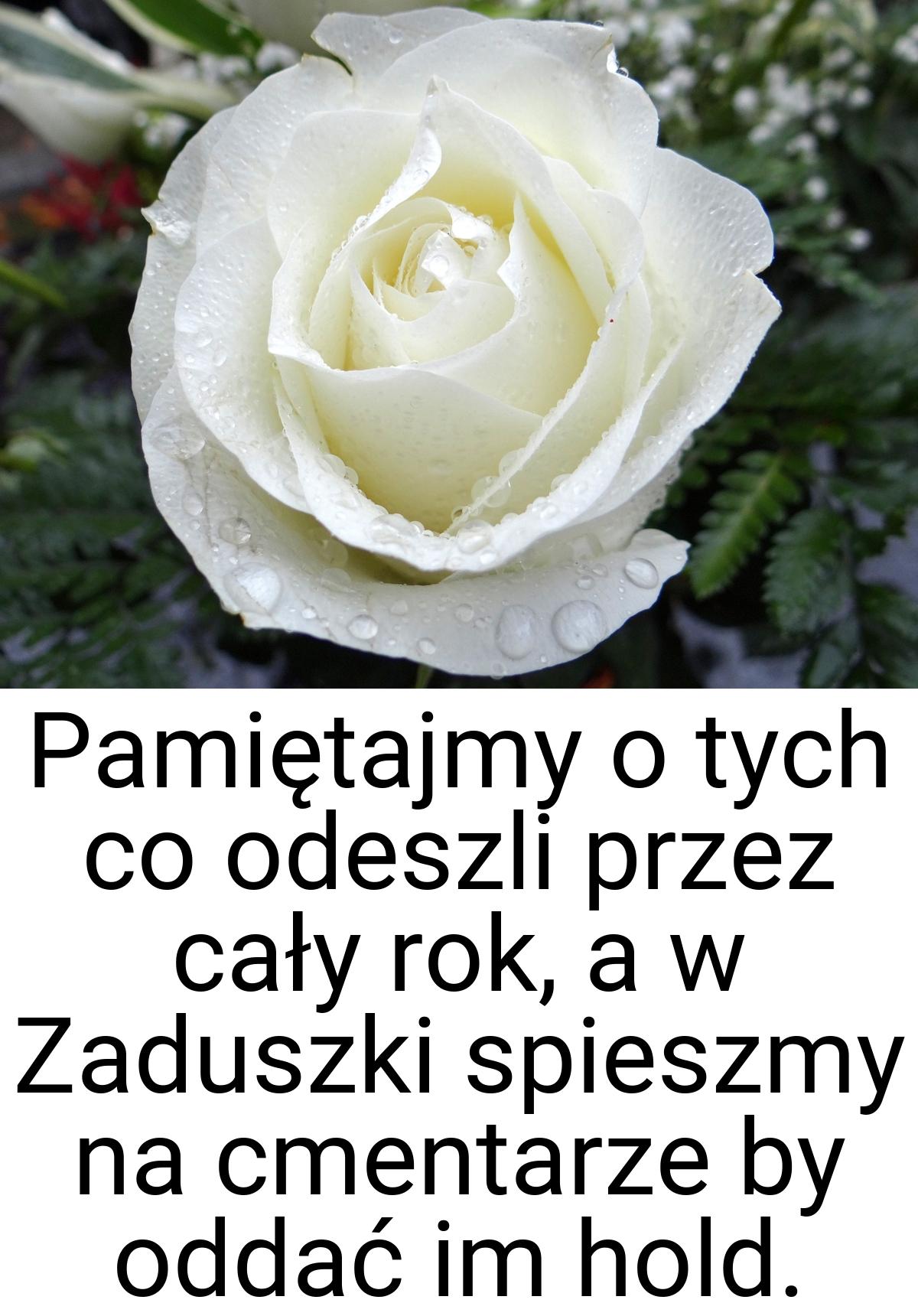 Pamiętajmy o tych co odeszli przez cały rok, a w Zaduszki