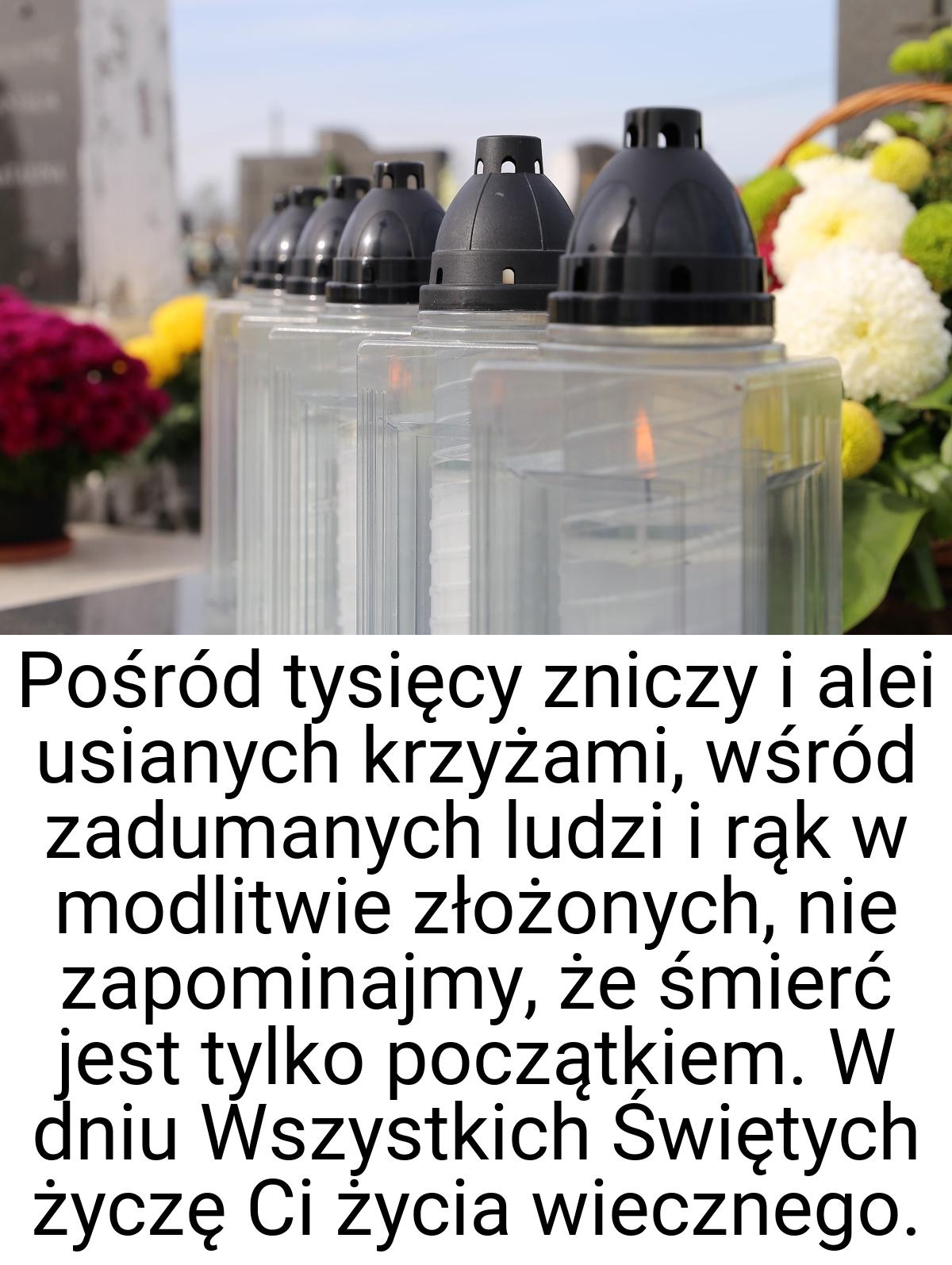 Pośród tysięcy zniczy i alei usianych krzyżami, wśród