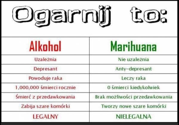 1. Alkohol - uzależnia, marihuana nie uzależnia, 2. Alkohol