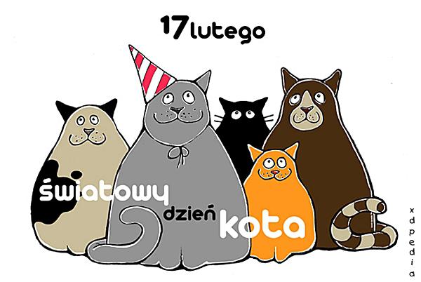 17 lutego - Światowy Dzień Kota