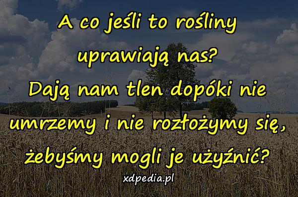 A co jeśli to rośliny uprawiają nas? Dają nam tlen dopóki