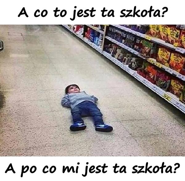 A co to jest ta szkoła? A po co mi jest ta szkoła