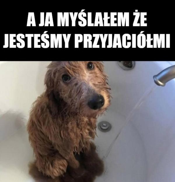 A ja myślałem, że jesteśmy przyjaciółmi