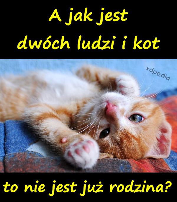 A jak jest dwóch ludzi i kot, to nie jest już rodzina