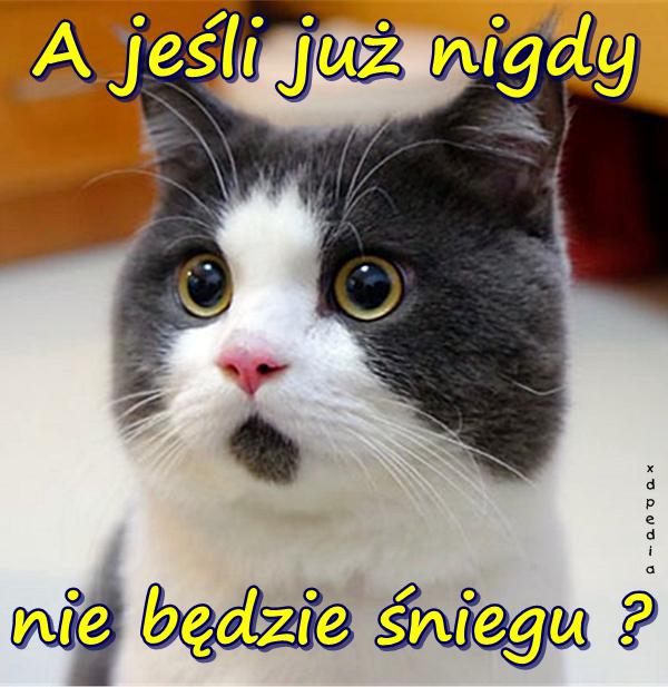 A jeśli już nigdy nie będzie śniegu