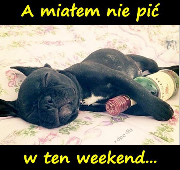 A miałem nie pić w ten weekend