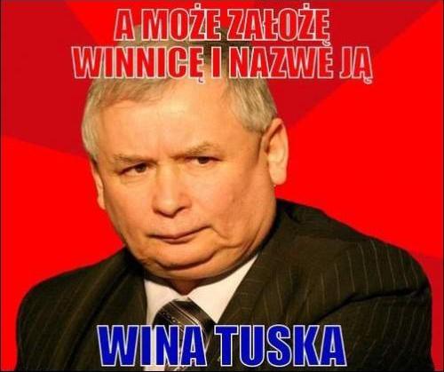 A może założę winnicę i nazwę ją - Wina Tuska