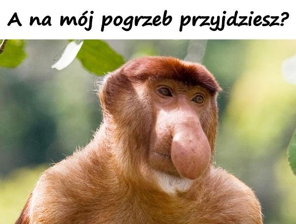 A na mój pogrzeb przyjdziesz