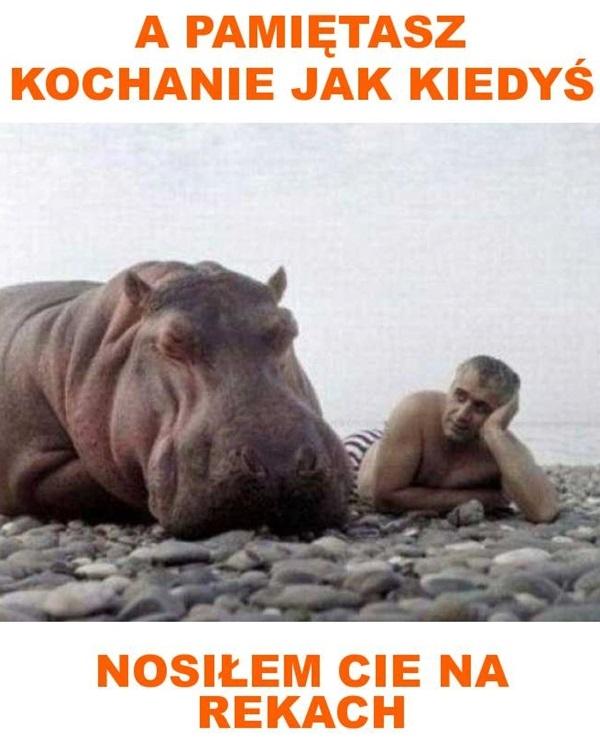 A pamiętasz kochanie jak kiedyś nosiłem cię na rękach