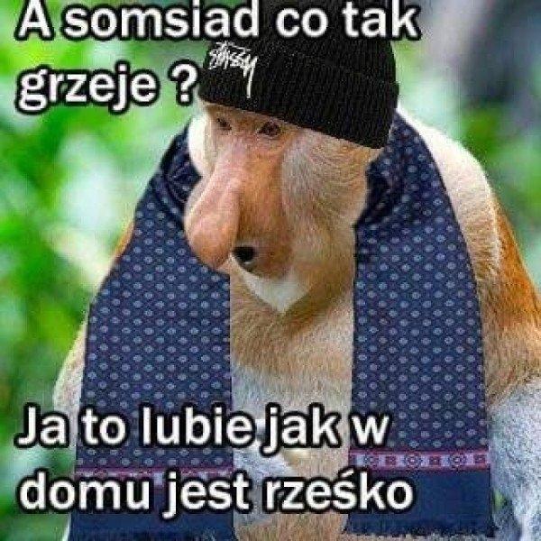 A somsiad co tak grzeje? Ja to lubię jak w domu jest rześko