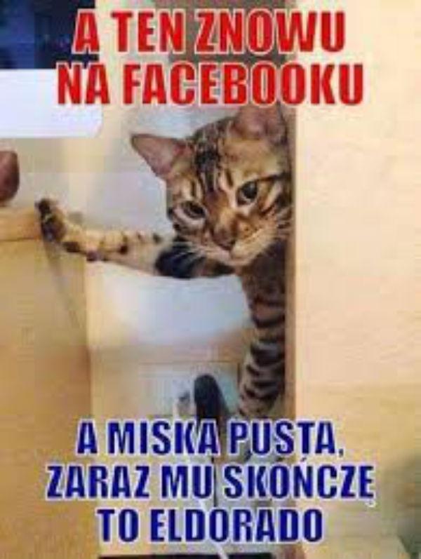 A ten znowu na facebooku\n\n\n\n\na miska pusta zaraz\nmu