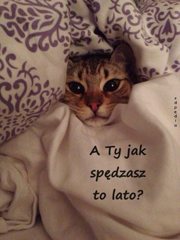 A Ty jak spędzasz to lato