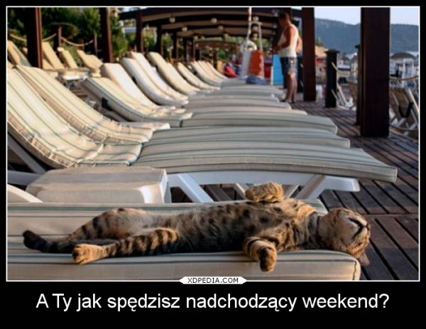 A ty jak spędzisz nadchodzący weekend