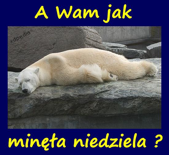 A Wam jak minęła niedziela