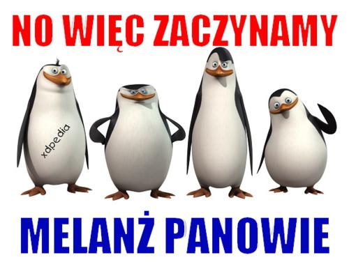 A więc zaczynamy melanż panowie