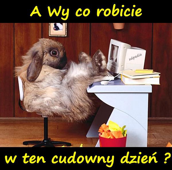 A Wy co robicie w ten cudowny dzień