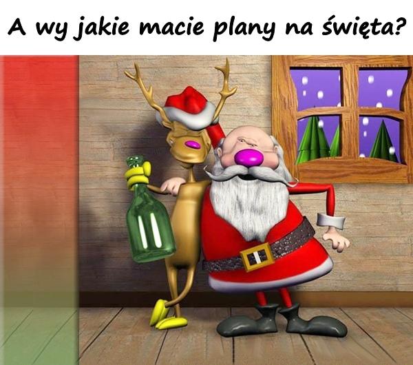 A wy jakie macie plany na święta