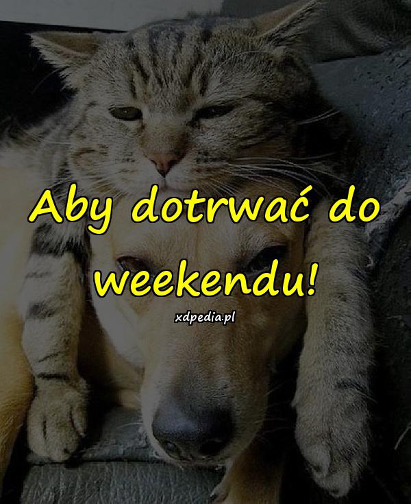 Aby dotrwać do weekendu