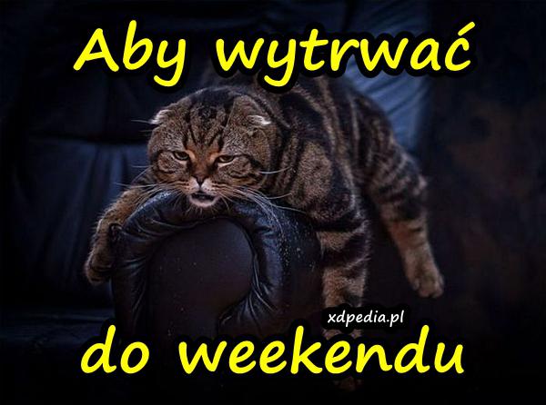 Aby wytrwać do weekendu