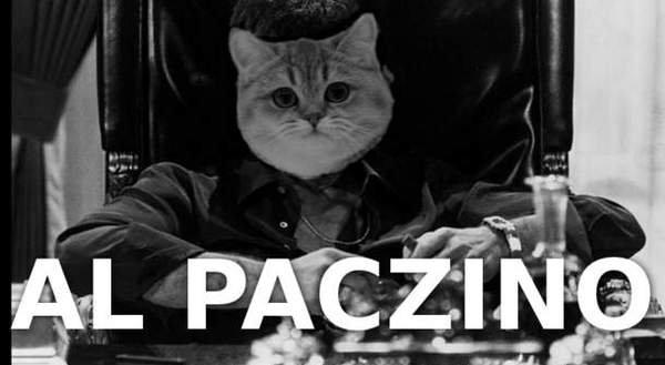 Al Paczino