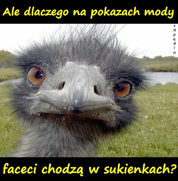 Ale dlaczego na pokazach mody faceci chodzą w sukienkach