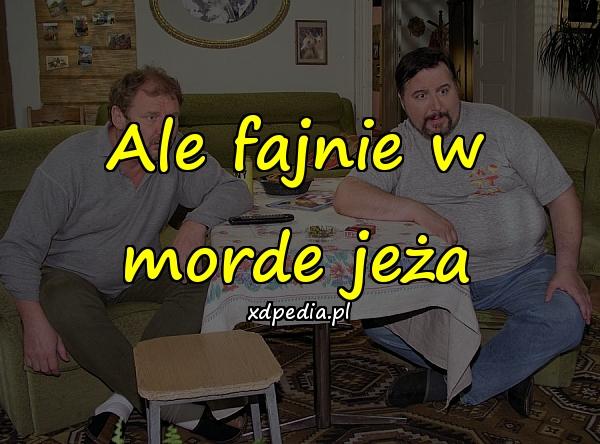 Ale fajnie w morde jeża