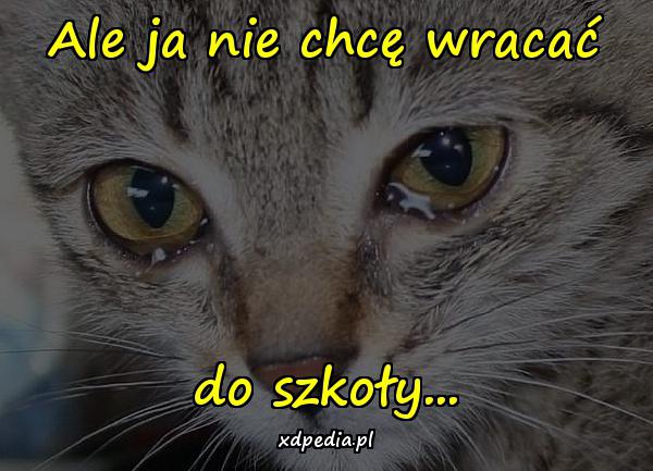 Ale ja nie chcę wracać do szkoły