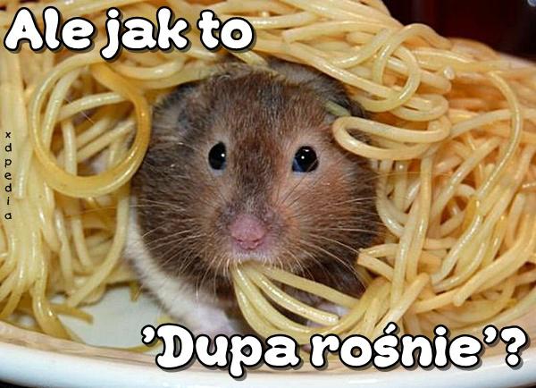 Ale jak to - Dupa rośnie