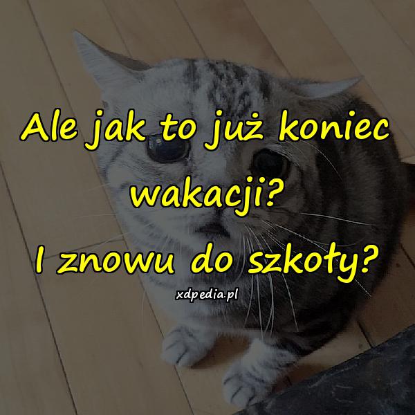 Ale jak to już koniec wakacji? I znowu do szkoły