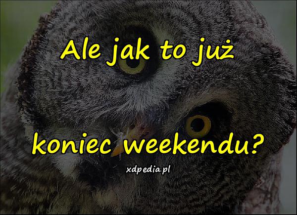 Ale jak to już koniec weekendu