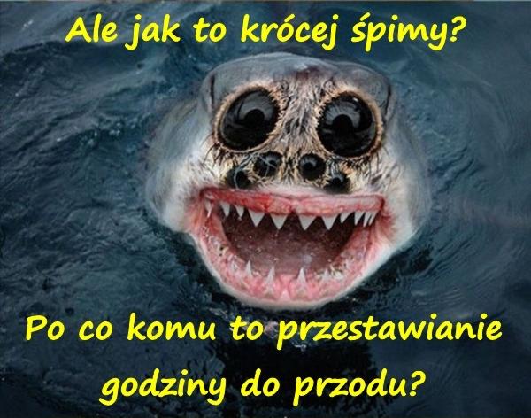 Ale jak to krócej śpimy? Po co komu to przestawianie