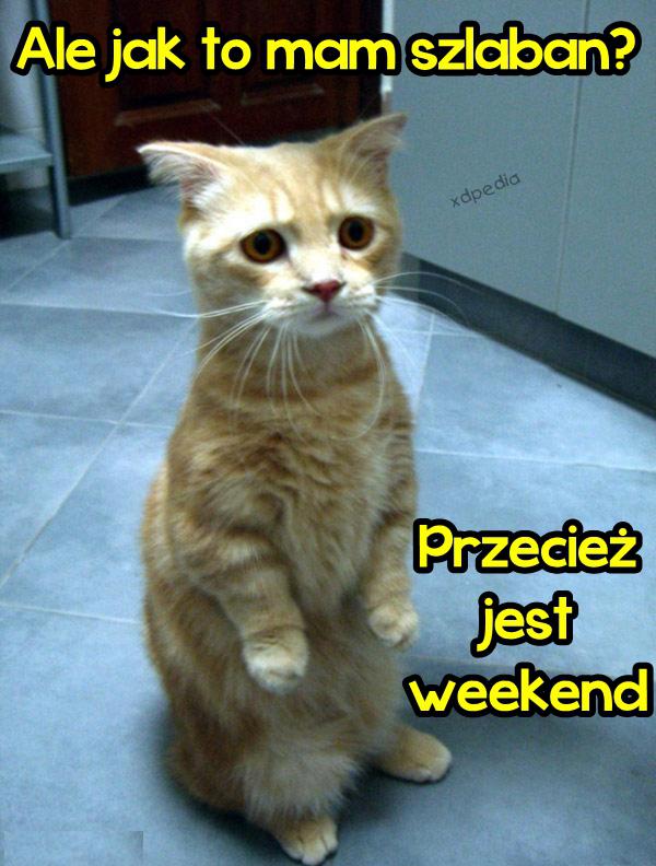 Ale jak to mam szlaban? Przecież jest weekend