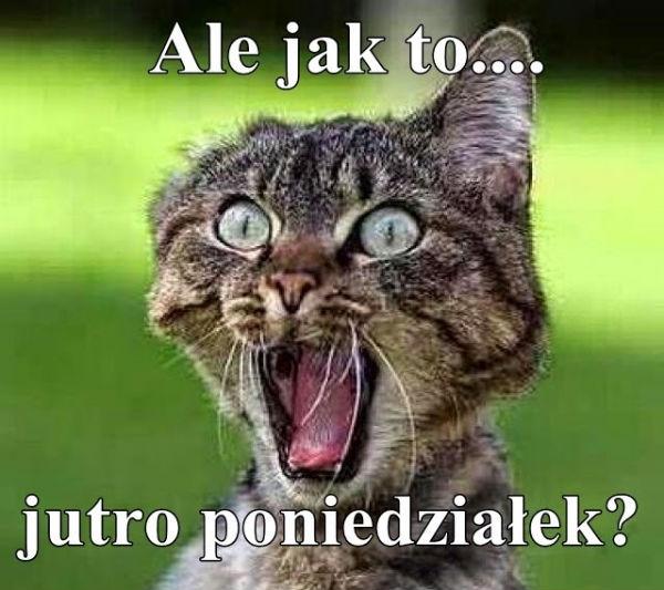 Ale jak to...\njutro poniedziałek