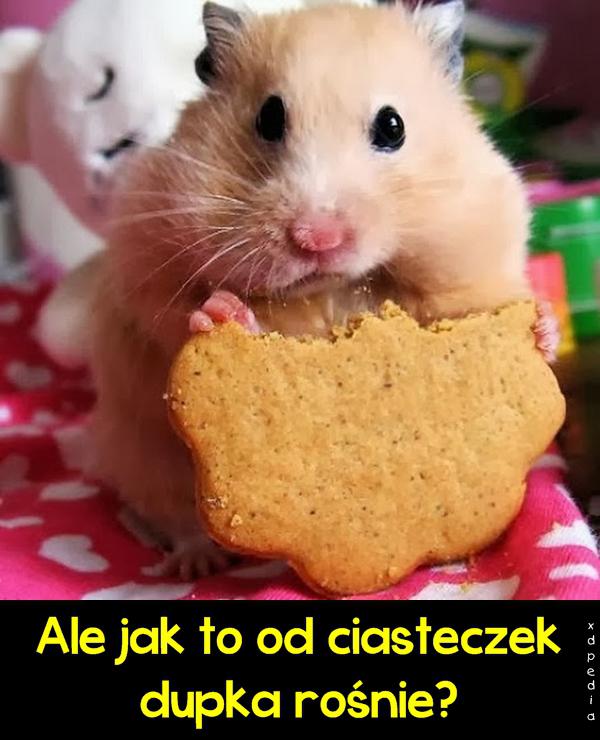 Ale jak to od ciasteczek dupka rośnie