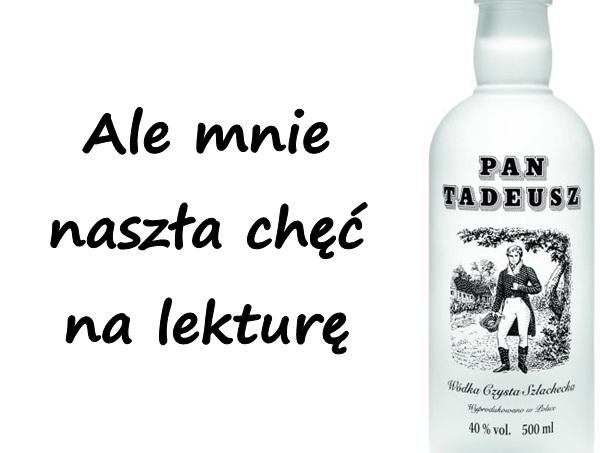 Ale mnie naszła chęć na lekturę