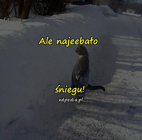 Ale najeebało śniegu