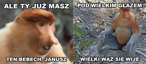 - Ale Ty już masz ten bebech Janusz! - Pod wielkim głazem