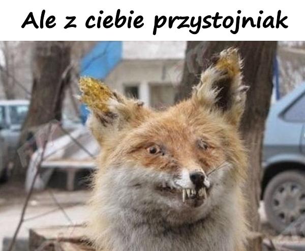 Ale z ciebie przystojniak