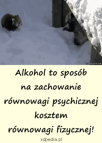 Alkohol to sposób na zachowanie równowagi psychicznej