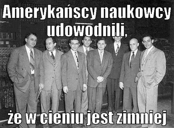 Amerykańscy naukowcy udowodnili, że w cieniu jest zimniej