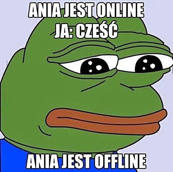 Ania jest online. Ja: Cześć! Ania jest ofline