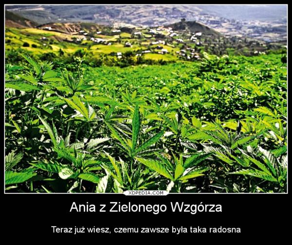 Ania z Zielonego Wzgórza Teraz już wiesz, czemu zawsze była