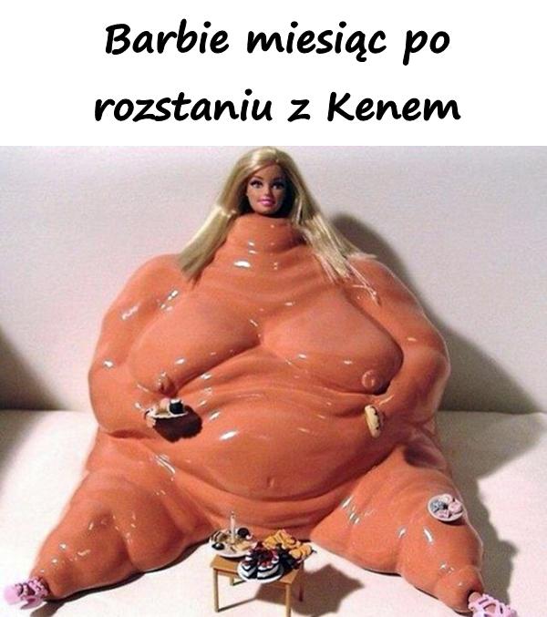 Barbie miesiąc po rozstaniu z Kenem