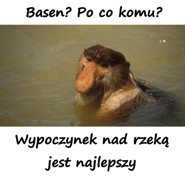 Basen? Po co komu? Wypoczynek nad rzeką jest najlepszy