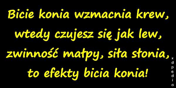 Bicie konia wzmacnia krew, wtedy czujesz się jak lew