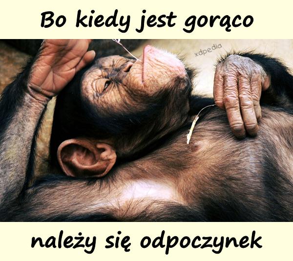 Bo kiedy jest gorąco należy się odpoczynek