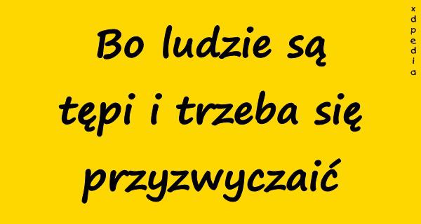 Bo ludzie są tępi i trzeba się przyzwyczaić